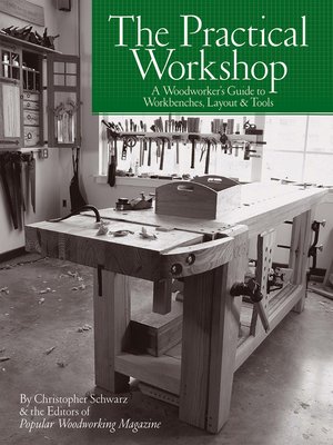 cover image of The Practical Workshop